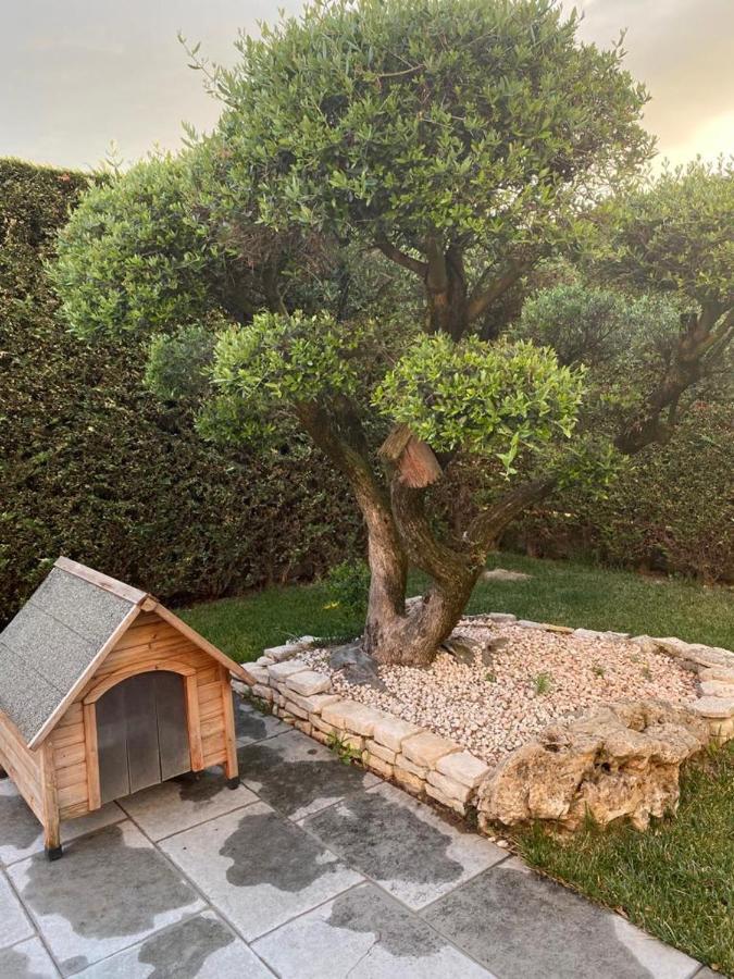 Wooden House Bed & Breakfast Montegrotto Terme Dış mekan fotoğraf